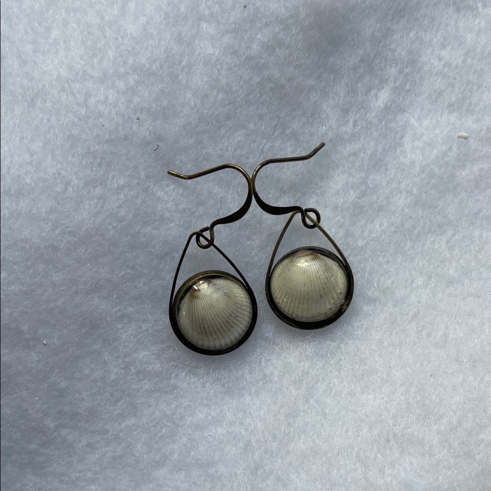 Chic Shell Drop Earrings in Cream and Gold